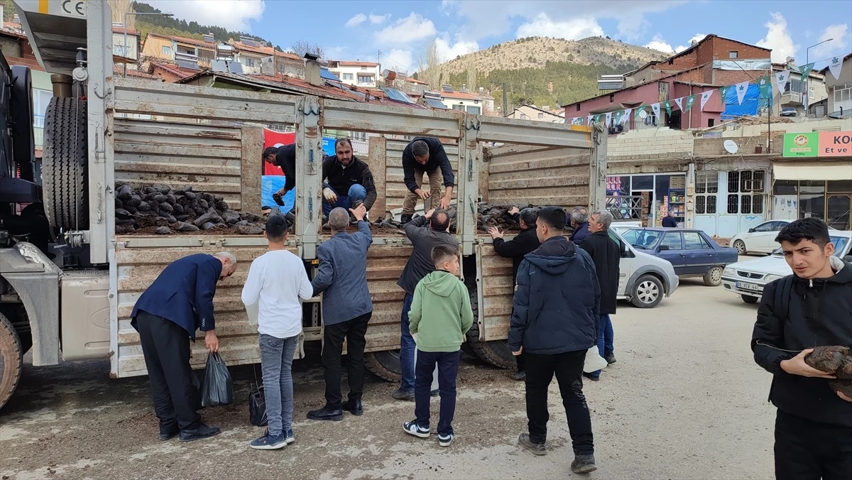 Çelikhan\'da 4 Bin Tüplü Ceviz Fidanı Üreticilere Dağıtıldı