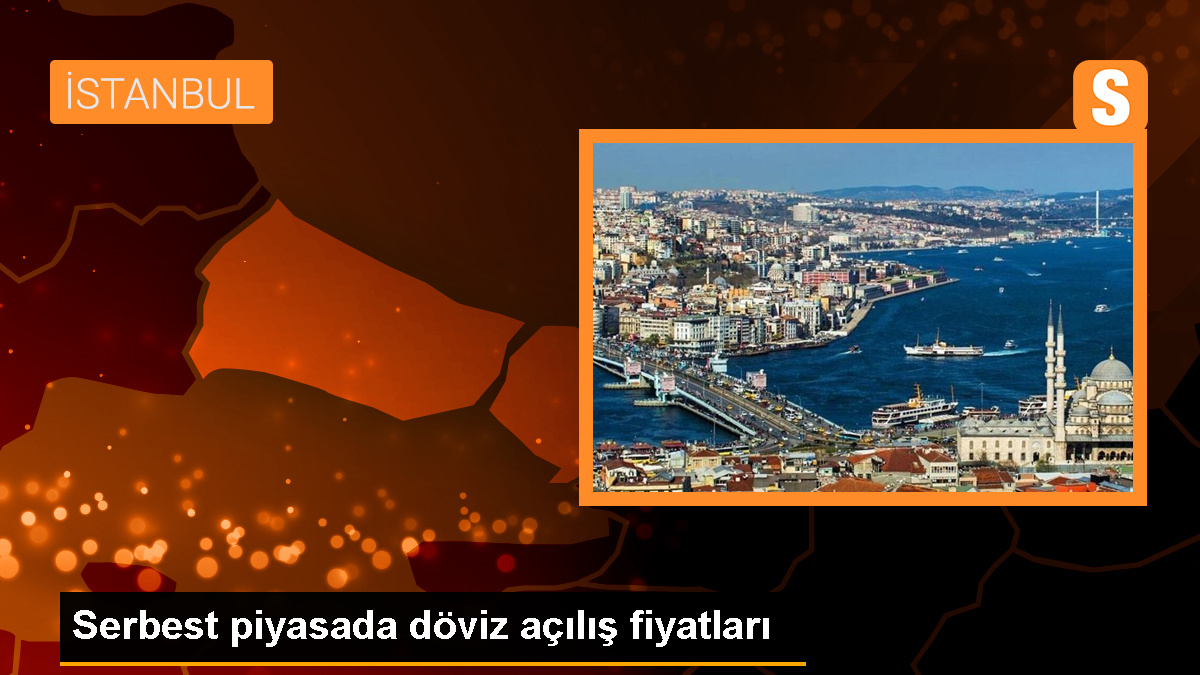 İstanbul serbest piyasada dolar 31,6060 liradan, avro 34,2950 liradan güne başladı