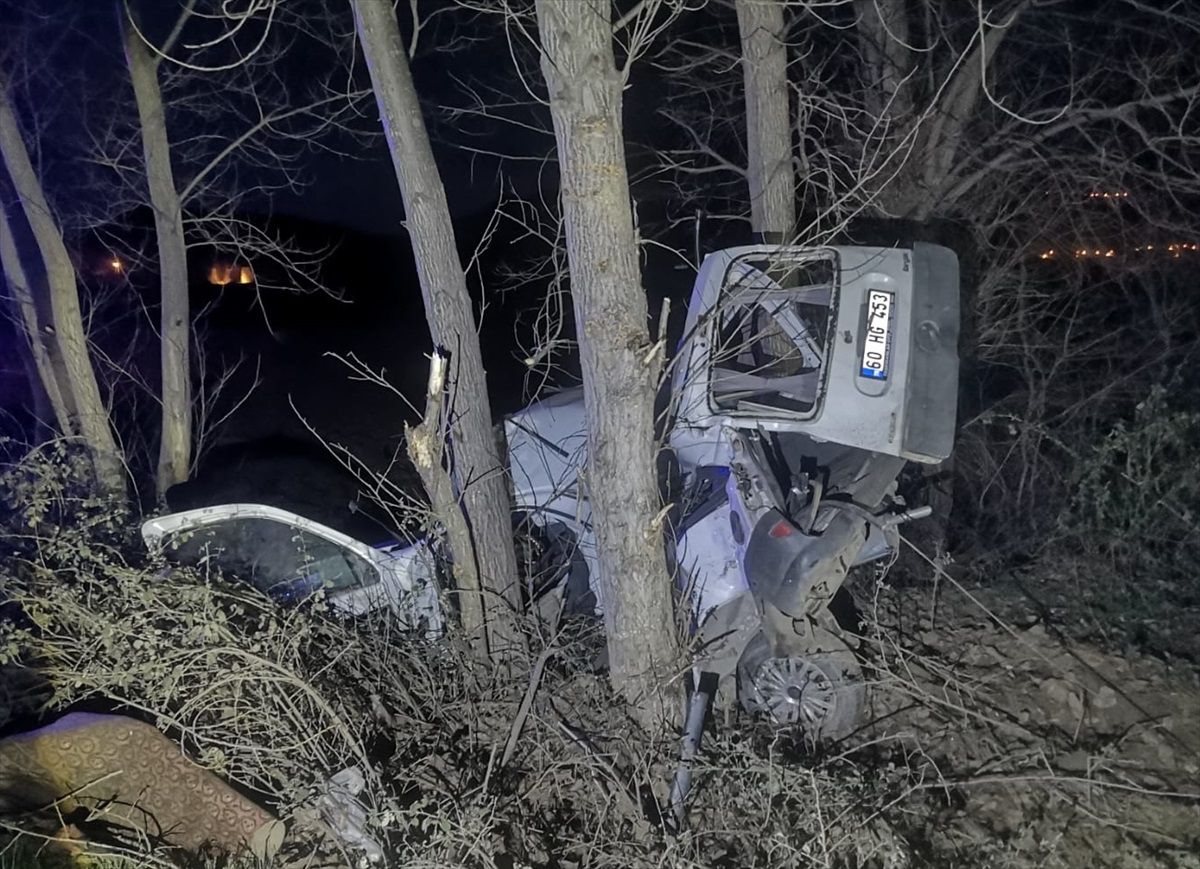 Tokat\'ın Niksar ilçesinde ağaca çarpan otomobilde 2 kişi yaralandı