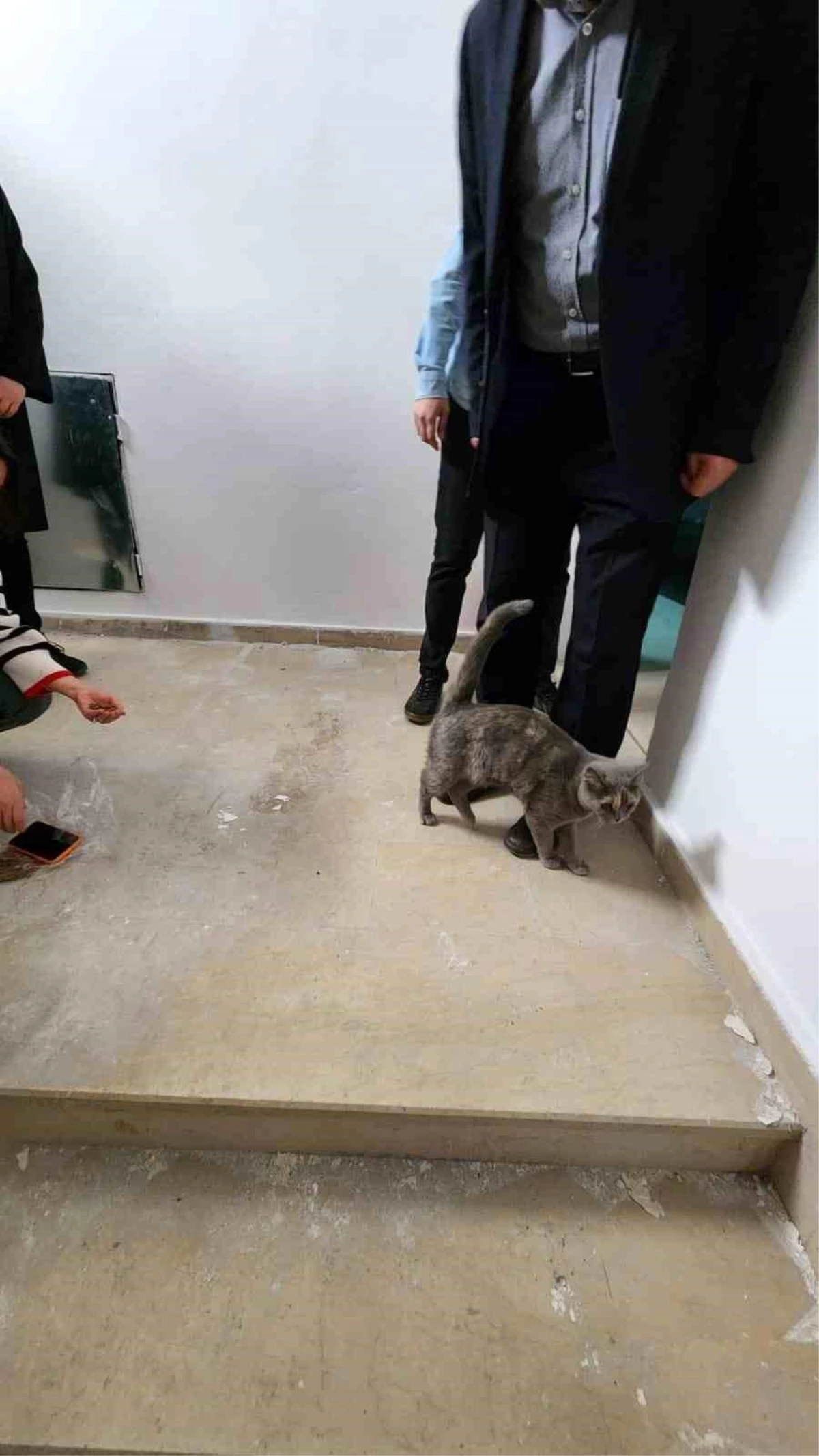 Malatya\'da Gençlik ve Spor İl Müdürlüğü\'nün idari binasının çatısında sıkışan kedi kurtarıldı