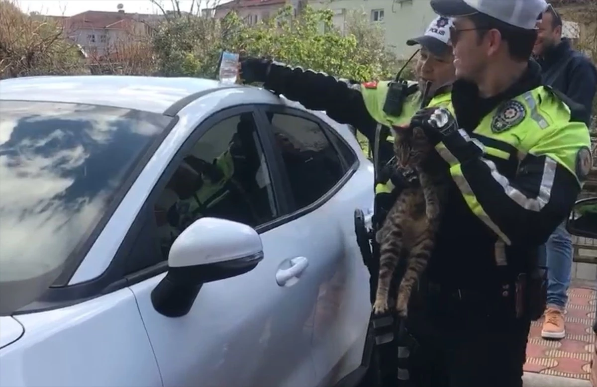 Marmaris\'te park halindeki otomobilde mahsur kalan kedi kurtarıldı