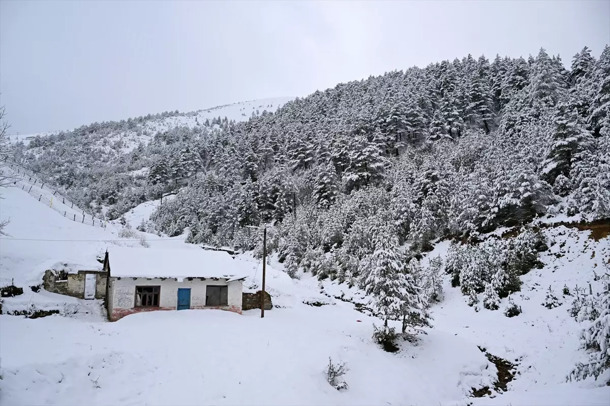 Zigana Dağı\'nda Kar ve Sis Etkisi