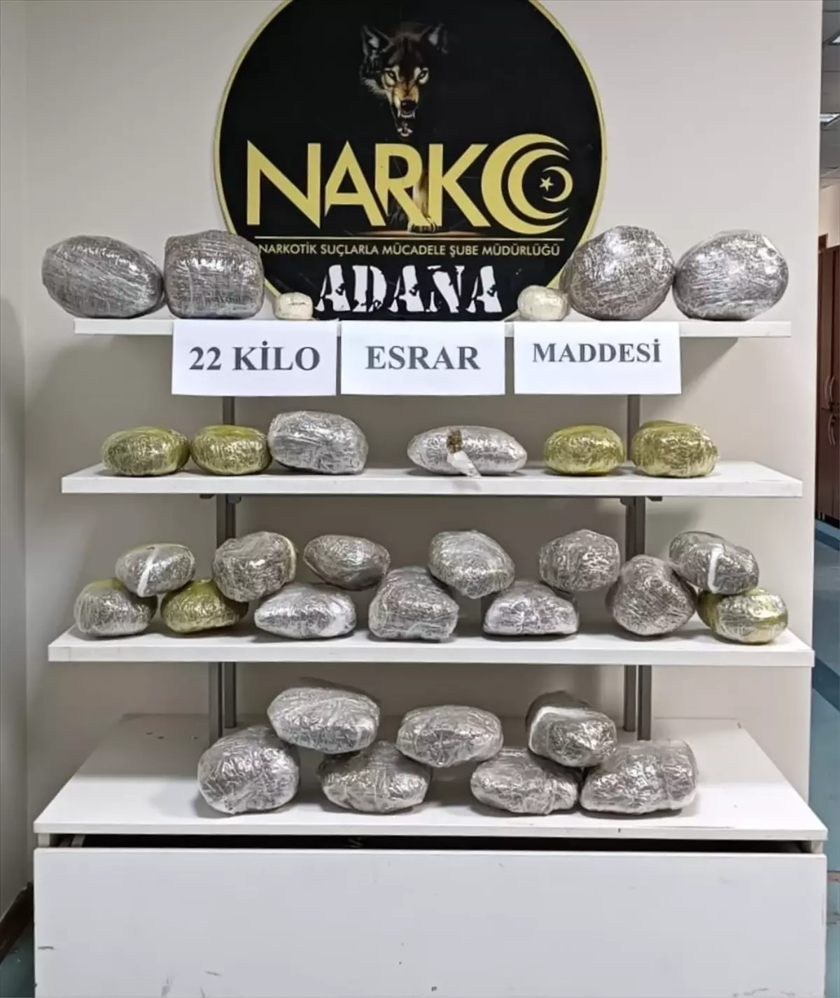 Adana\'da yolcu otobüsünde 22 kilogram esrar ele geçirildi, şüpheli tutuklandı