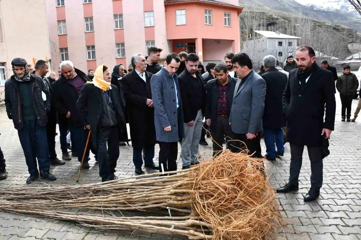 Van\'ın Çatak ilçesinde çiftçilere meyve fidanı dağıtıldı