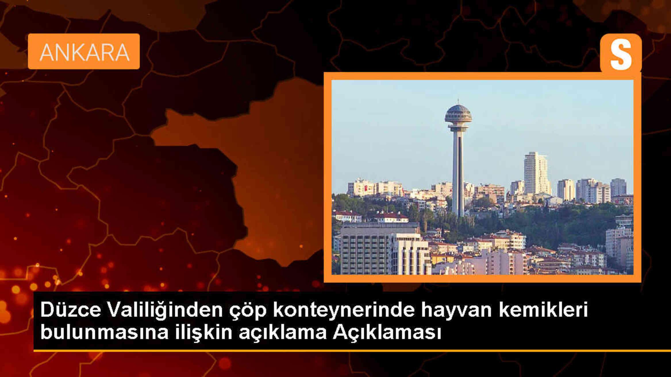 Düzce Valiliği: Çöp konteynerinde bulunan kemikler sığır cinsine ait