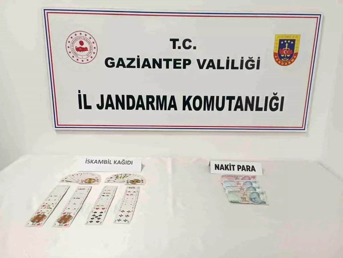 Gaziantep\'te Mengene Operasyonunda 7 Şahıs Yakalandı