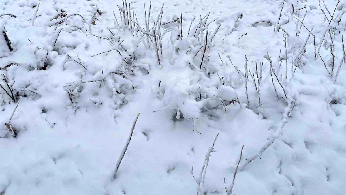 Kırklareli\'nin yüksek kesimlerinde kar yağışı etkili oldu