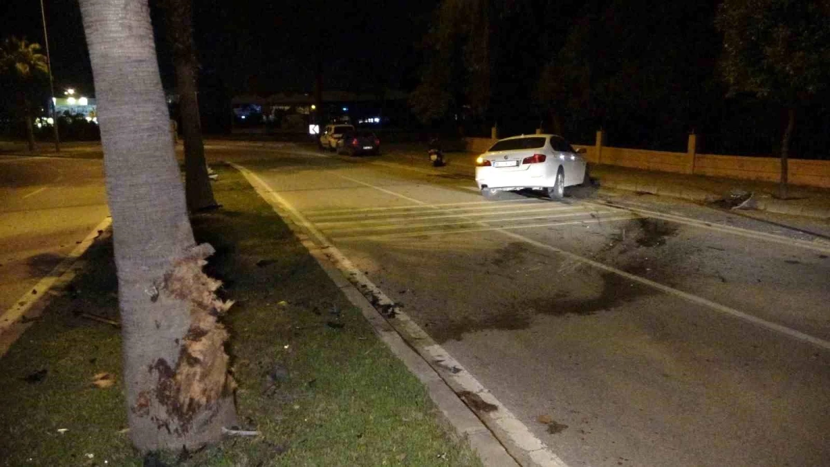 Manavgat\'ta lüks otomobil palmiyeye çarptı: Sürücü yaralandı