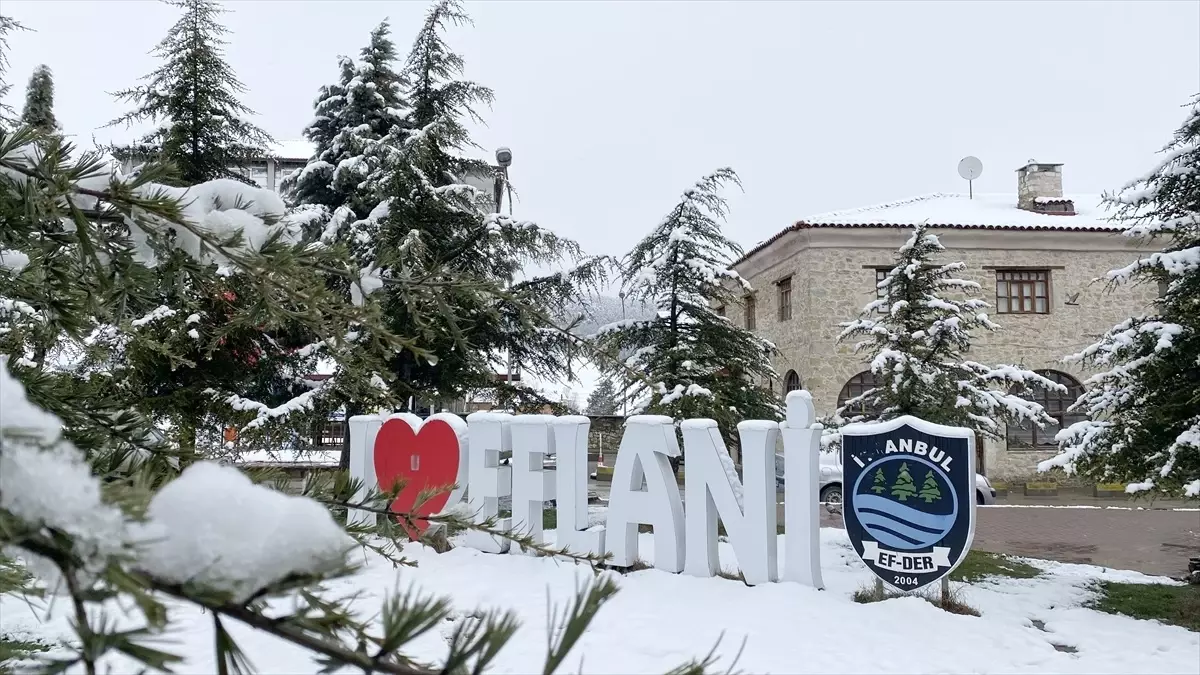 Karabük ve Bolu\'nun yüksek kesimlerinde kar etkili oldu