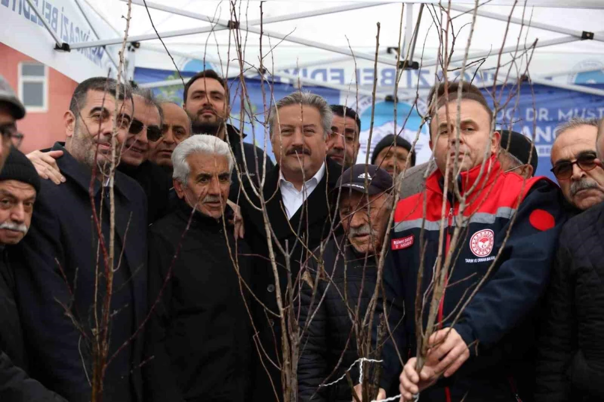 Melikgazi Belediyesi 21 Bin Meyve Fidanı Dağıtıyor