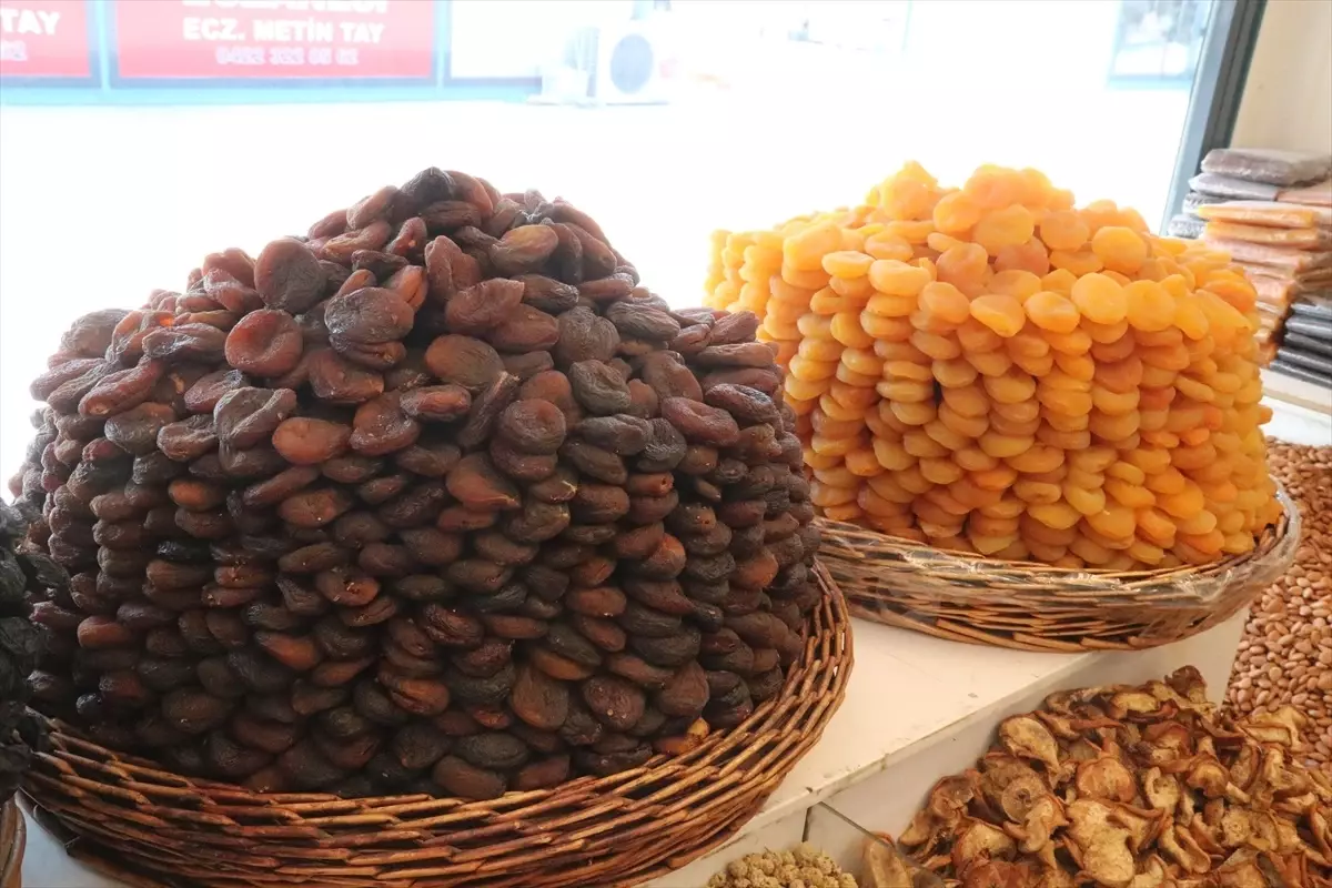 Malatya Kayısısı İhracatı Yükselişe Geçti