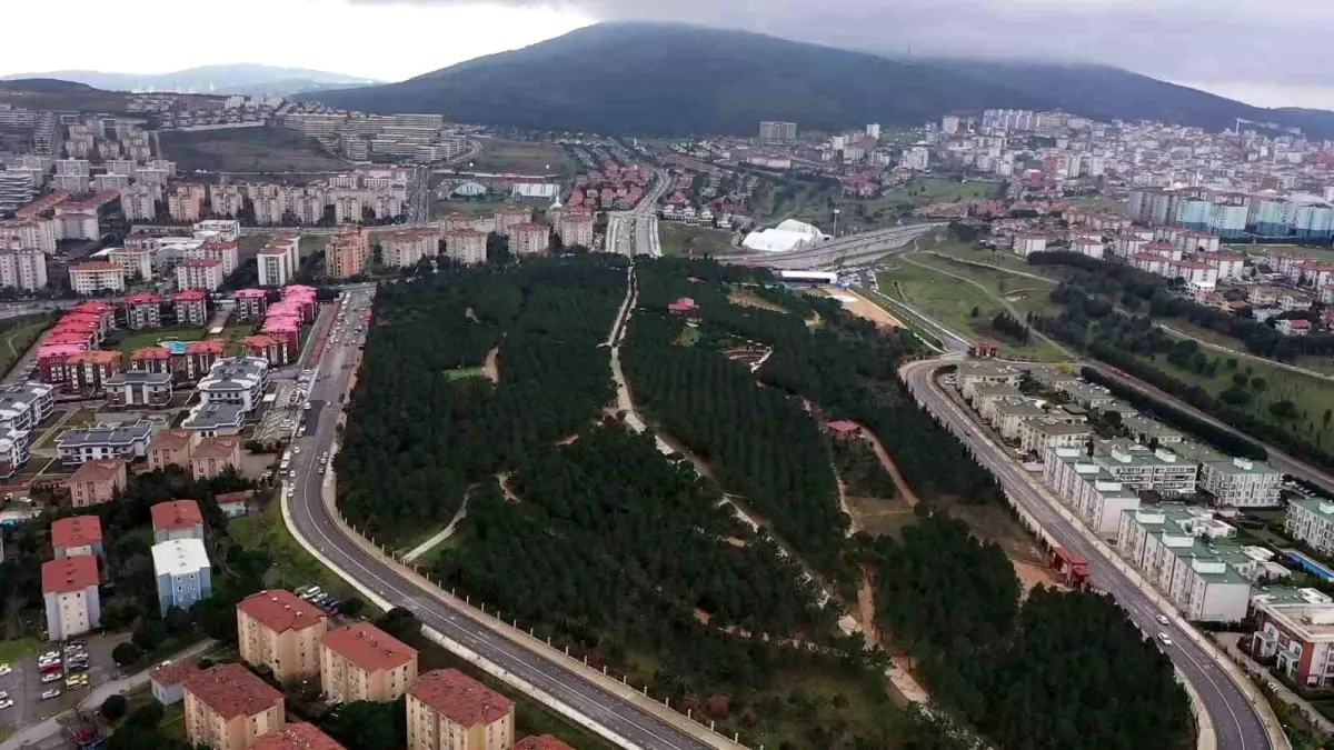 Pendik Korusu Hizmete Açıldı