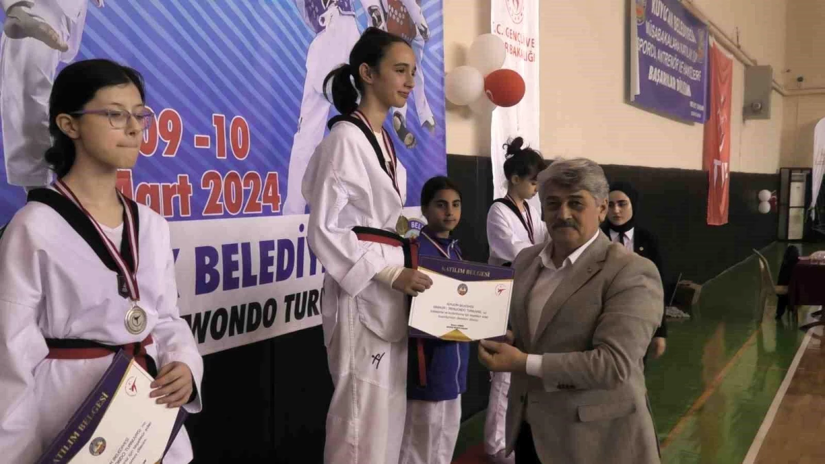 Aydın\'da düzenlenen Minikler Taekwondo Turnuvası\'nda 11 ilden gelen sporcular mücadele etti