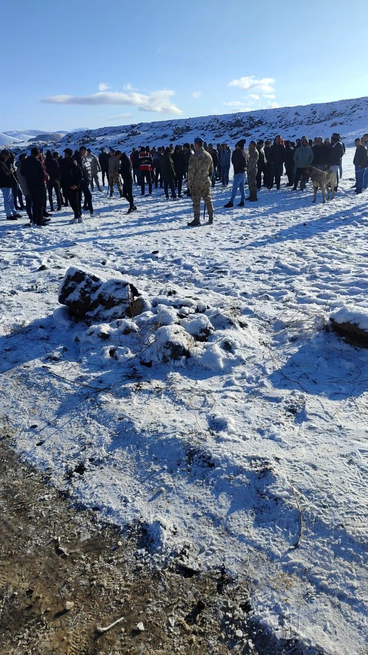 Niğde\'de köpek dövüştürenlere 533 bin 275 lira ceza