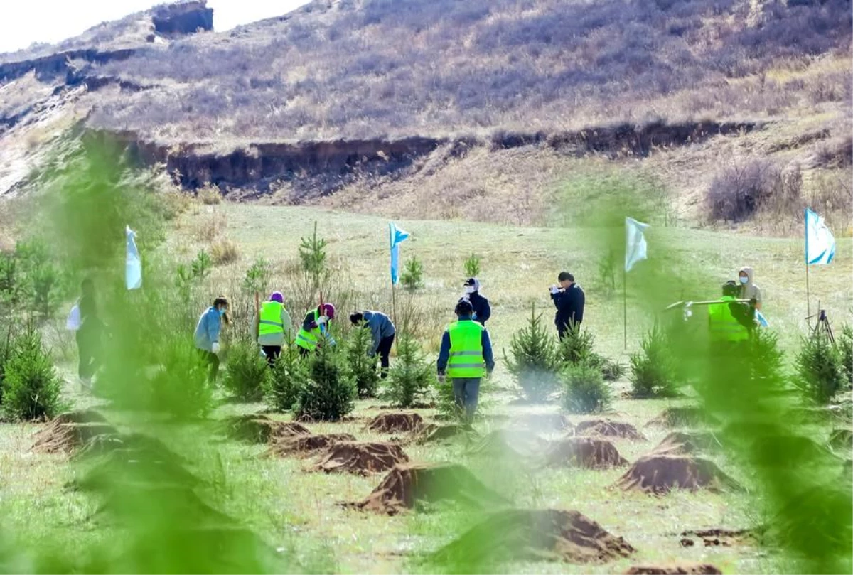 Çin\'in İç Moğolistan Özerk Bölgesi\'nde 110 milyon kez gönüllü ağaç dikimi gerçekleştirildi