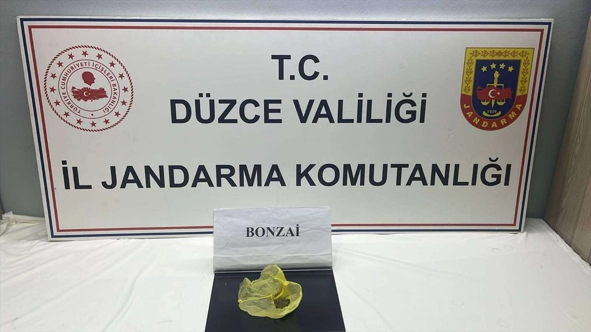 Düzce\'de Uyuşturucu ve Düzensiz Göçle Mücadele Operasyonu: 29 Şüpheli Yakalandı