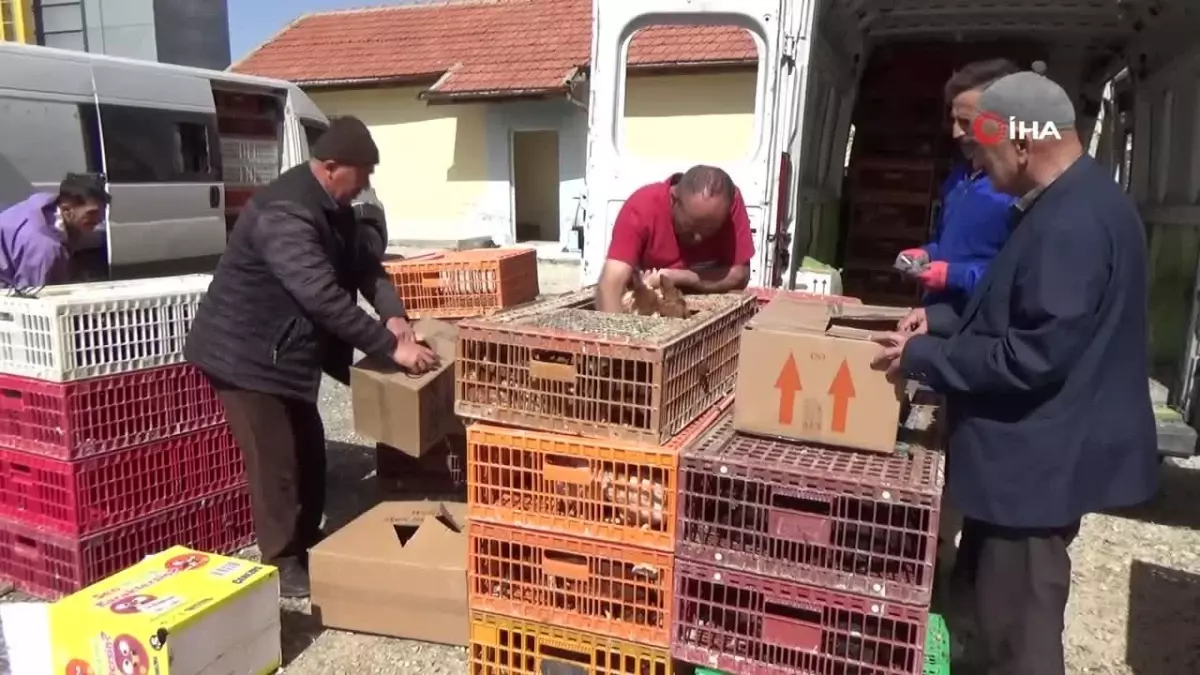 Karaman\'da köylülere tavuk ve horoz dağıtılarak kendi yumurtaları üretmeleri teşvik edildi