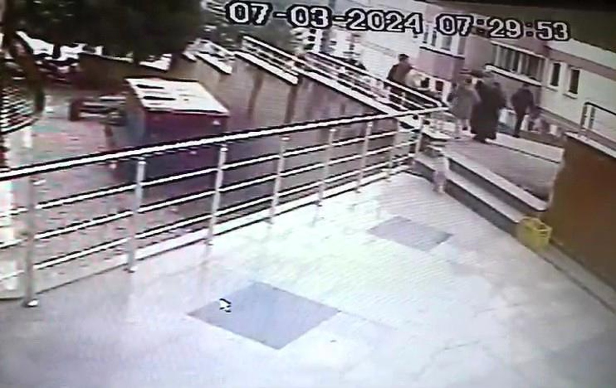 Karabük\'te sokak kedilerine çarpan sürücülere yüksek ceza