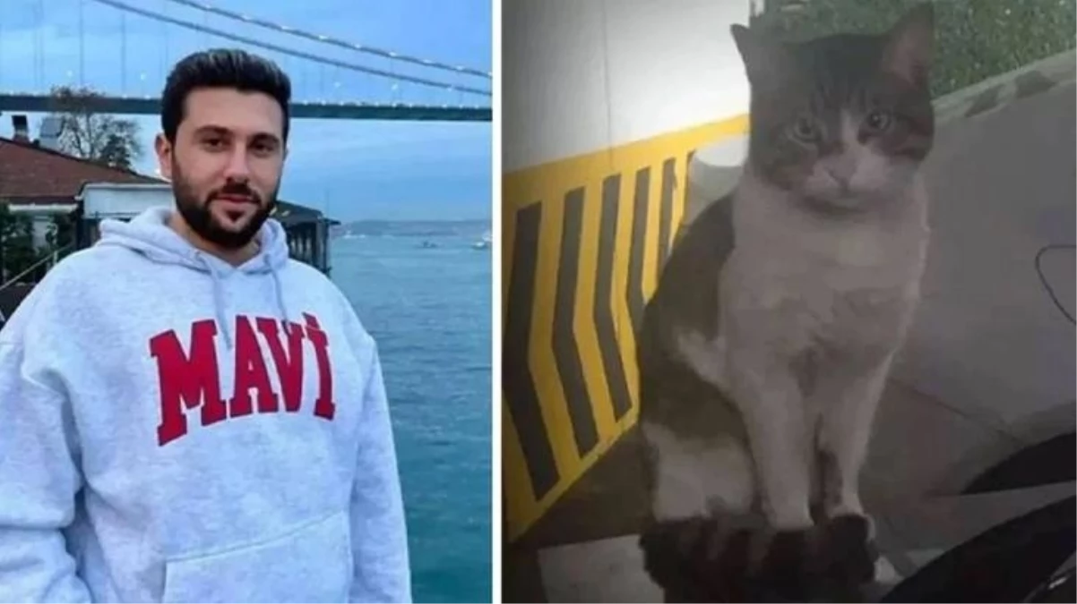 Eros isimli kediyi vahşice öldüren İbrahim Keloğlan adli kontrol şartıyla serbest bırakıldı