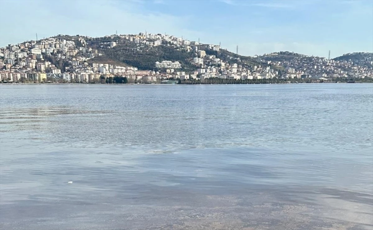 İzmit Körfezi\'nde Alg Çoğalması Renk Değişimine Neden Oldu