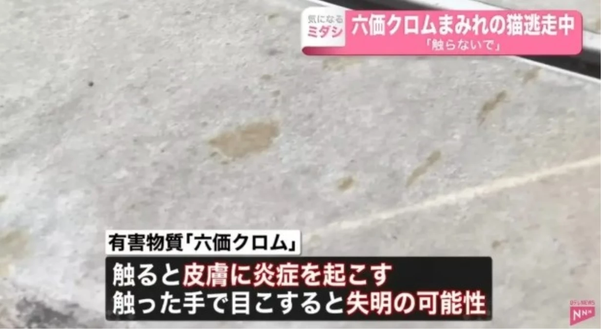 Japonya\'da zehirli kimyasal madde içeren tanka düşen kedi, Fukuyama şehrini alarm durumuna geçirdi