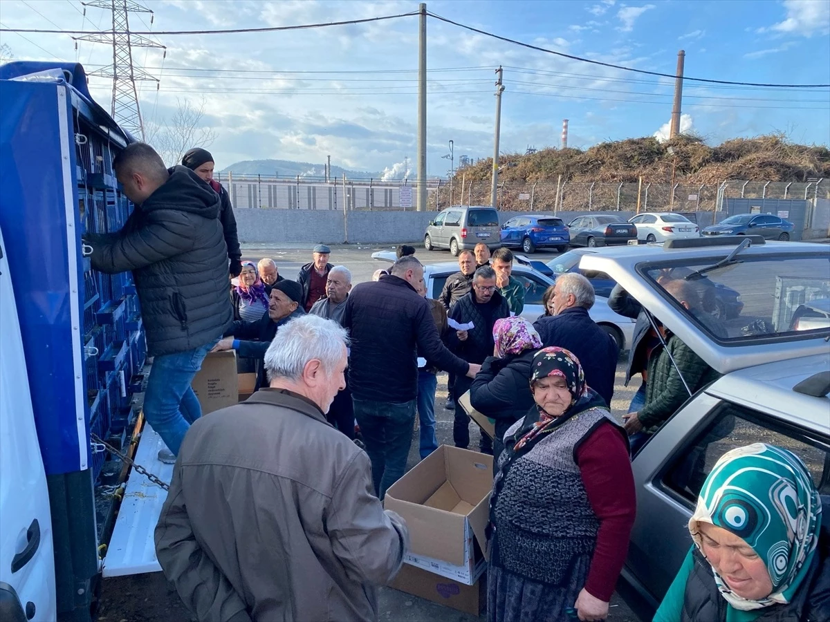 Karadeniz Ereğli Ziraat Odası, çiftçilere 1500 tavuk dağıttı