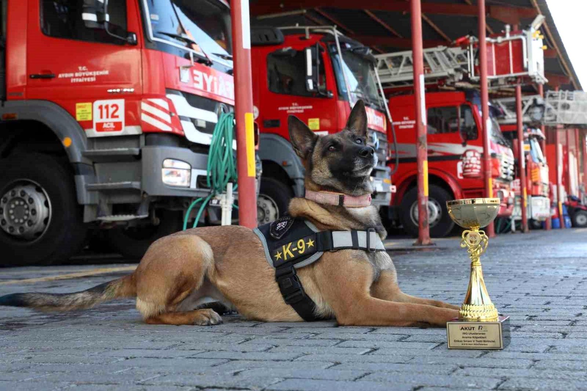Aydın Büyükşehir Belediyesi\'nin Arama Kurtarma Köpeği Zeyna Birinci Oldu