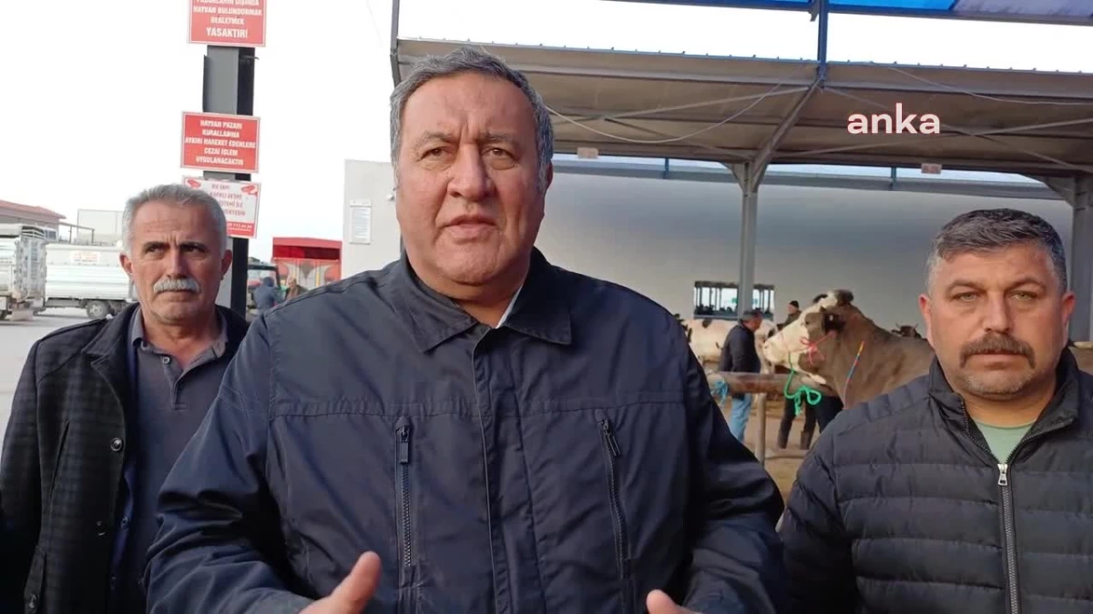 CHP Milletvekili Gürer, Niğde\'deki Hayvan Pazarını Ziyaret Etti