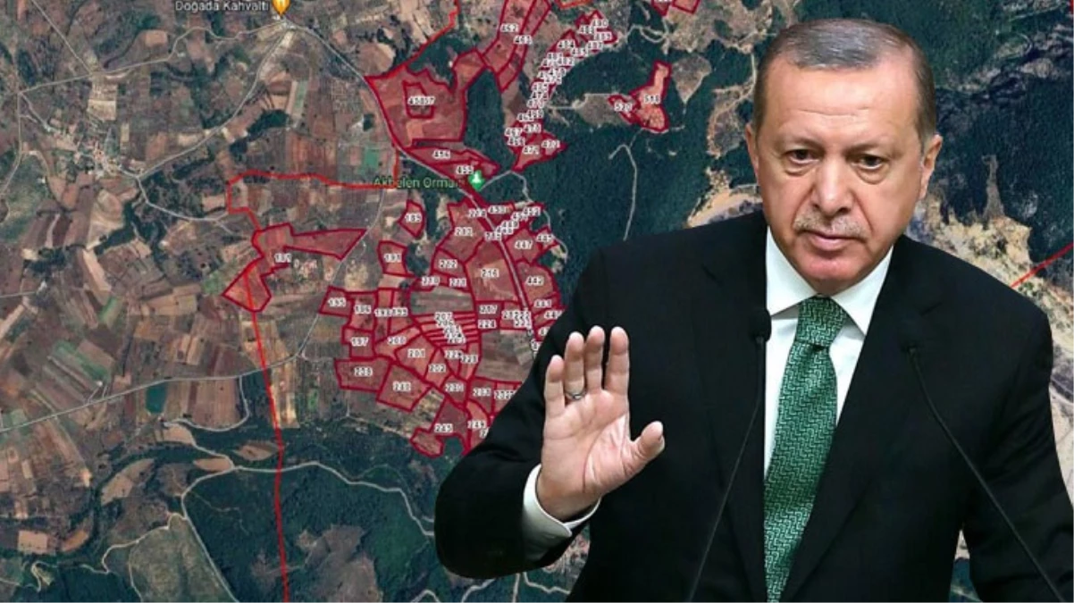 Cumhurbaşkanı Erdoğan, Akbelen\'deki arazileri kamulaştırma kararını iptal etti
