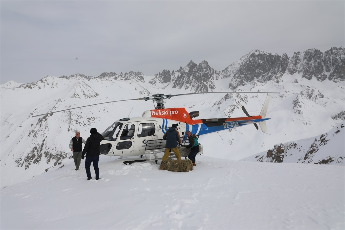 Doğu Karadeniz\'de Yaban Hayatı İçin Helikopterli Yemleme Projesi