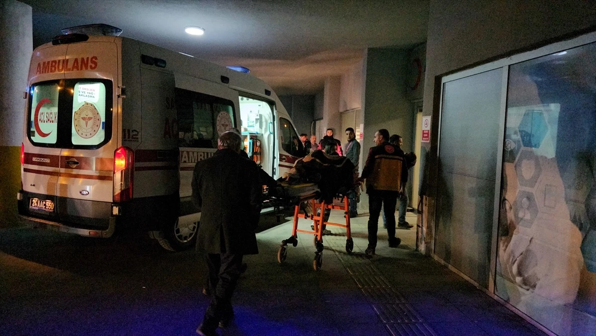 Erzincan\'da kaza: 4\'ü çocuk, 7 kişi yaralandı