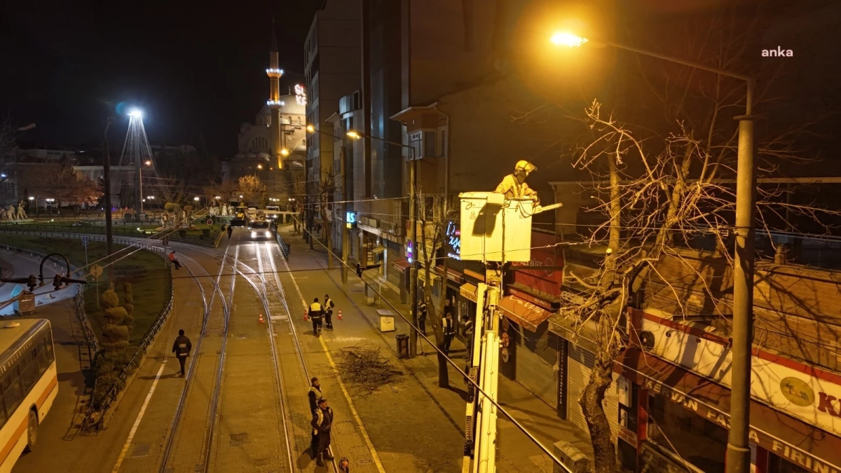 Eskişehir\'de Tramvay Hatlarındaki Ağaçlar Budandı