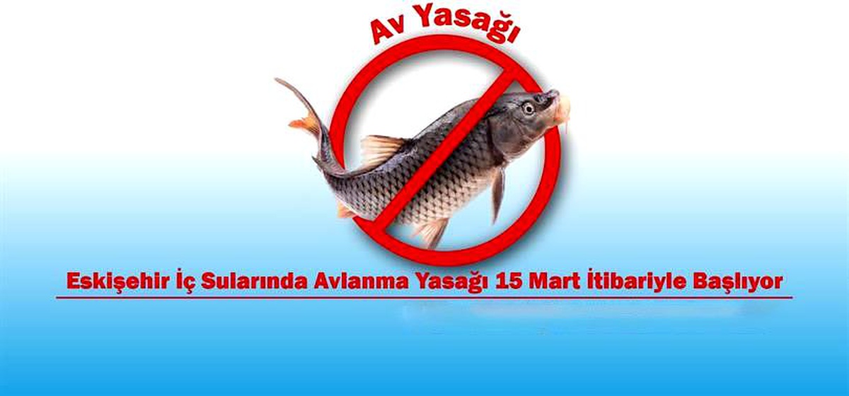 Eskişehir\'de İç Su Balıklarının Avlanması ve Satışı Yasaklandı