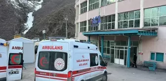 Şemdinli'de Otomobil Dereye Düştü: 1 Ölü, 1 Yaralı