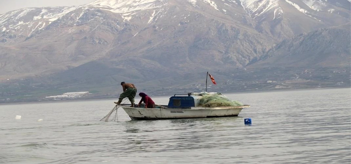 Sazan, Kadife, Siraz, Yayın gibi balık türlerinin avlanması yasaklandı