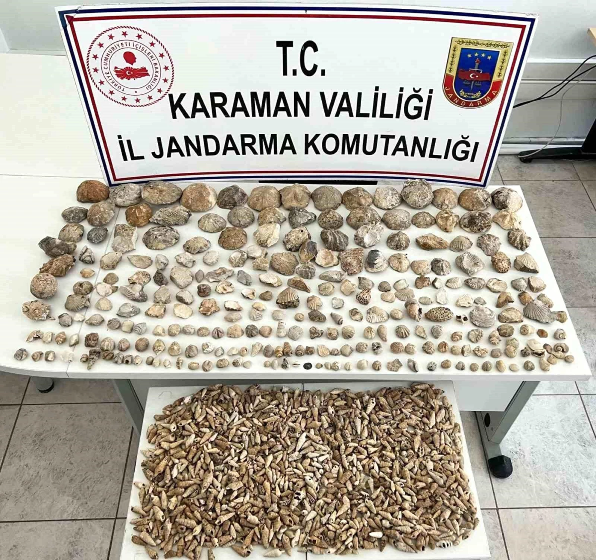 Karaman\'da Neolitik Döneme Ait Fosil Operasyonu