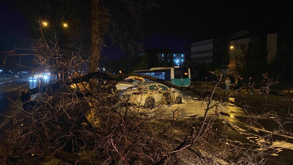 Kayseri\'de Ağaca Çarpan Aracın Sürücüsü Hayatını Kaybetti