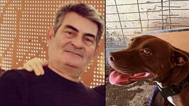 Pitbull Cinsi köpeği yakarak öldüren sanığın cezası artırılarak 4 yıla çıkarıldı