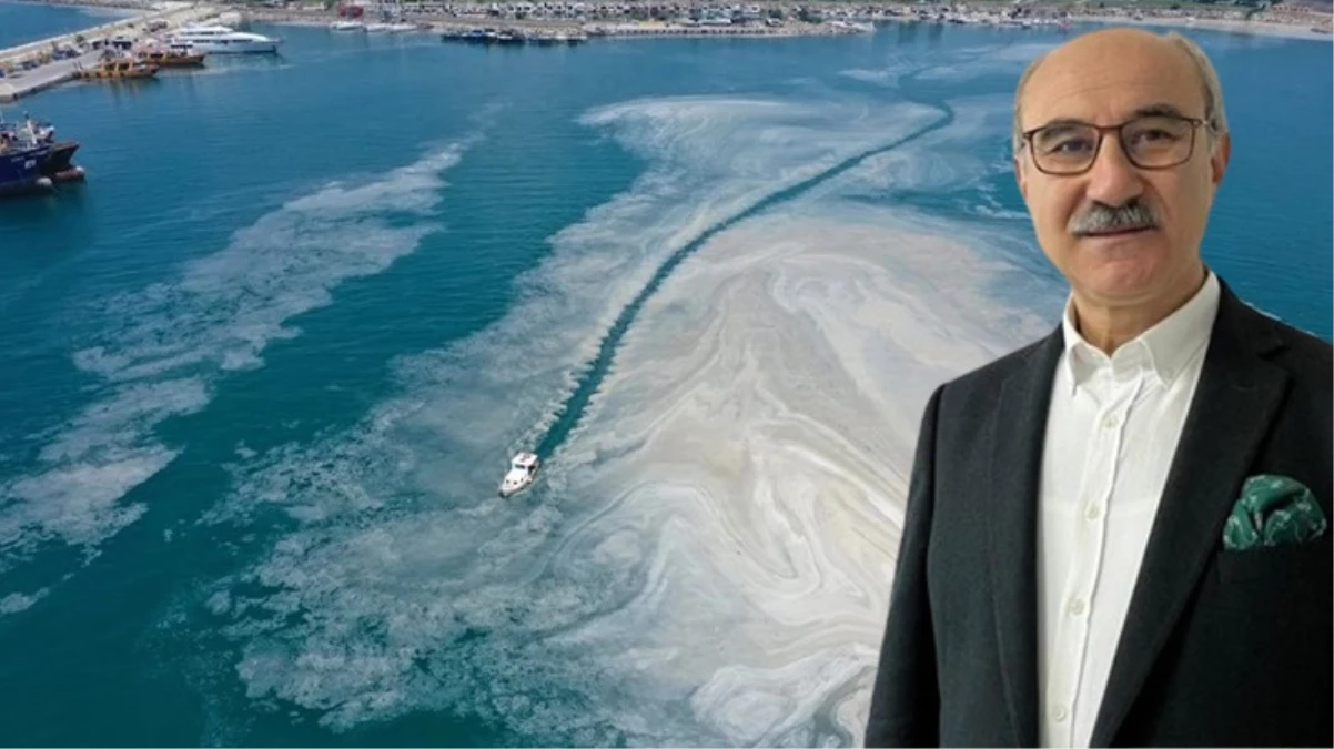 Marmara Denizi\'ndeki kirlilik ve müsilaj için uyarı: 50 yılda 19 balık türü kayboldu