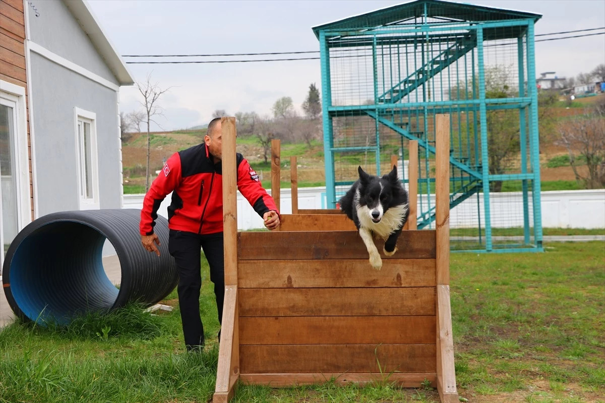 Süleymanpaşa Belediyesi Arama Kurtarma Köpekleriyle Afetlere Hazırlanıyor