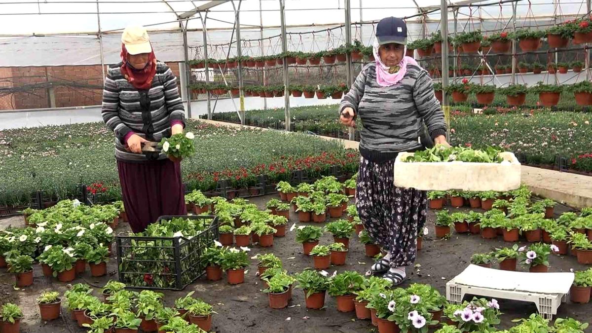 Yalova\'da 2024 İhracatı 117 Milyon 718 Bin Dolar Oldu
