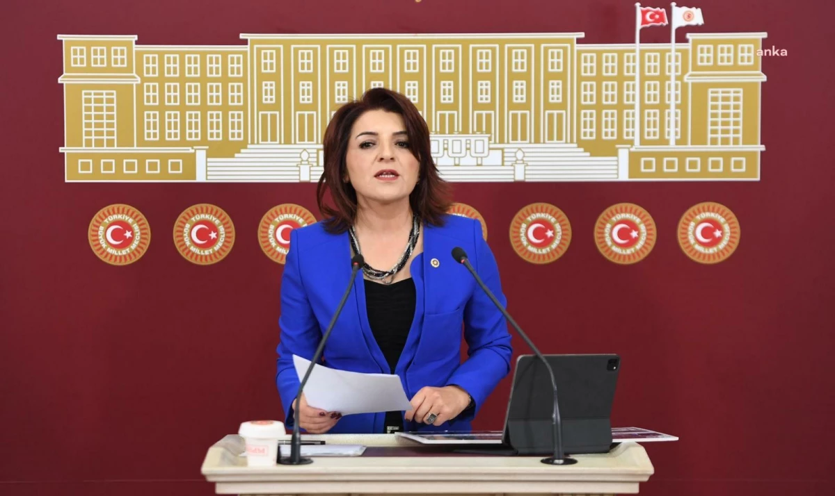 CHP Milletvekili Gülcan Kış, seçim sonrası ekonomik gelişmelere ilişkin soru önergesi verdi