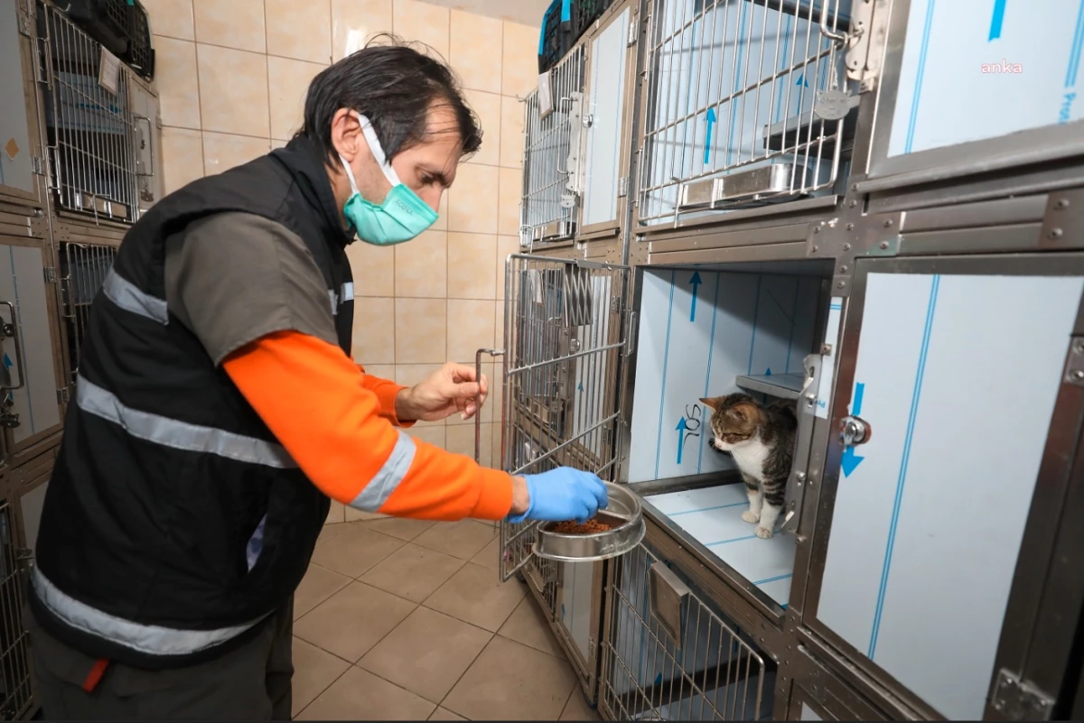 Gaziemir Belediyesi Veteriner Sağlık Hizmetleriyle Örnek Alınabilir Karne Aldı