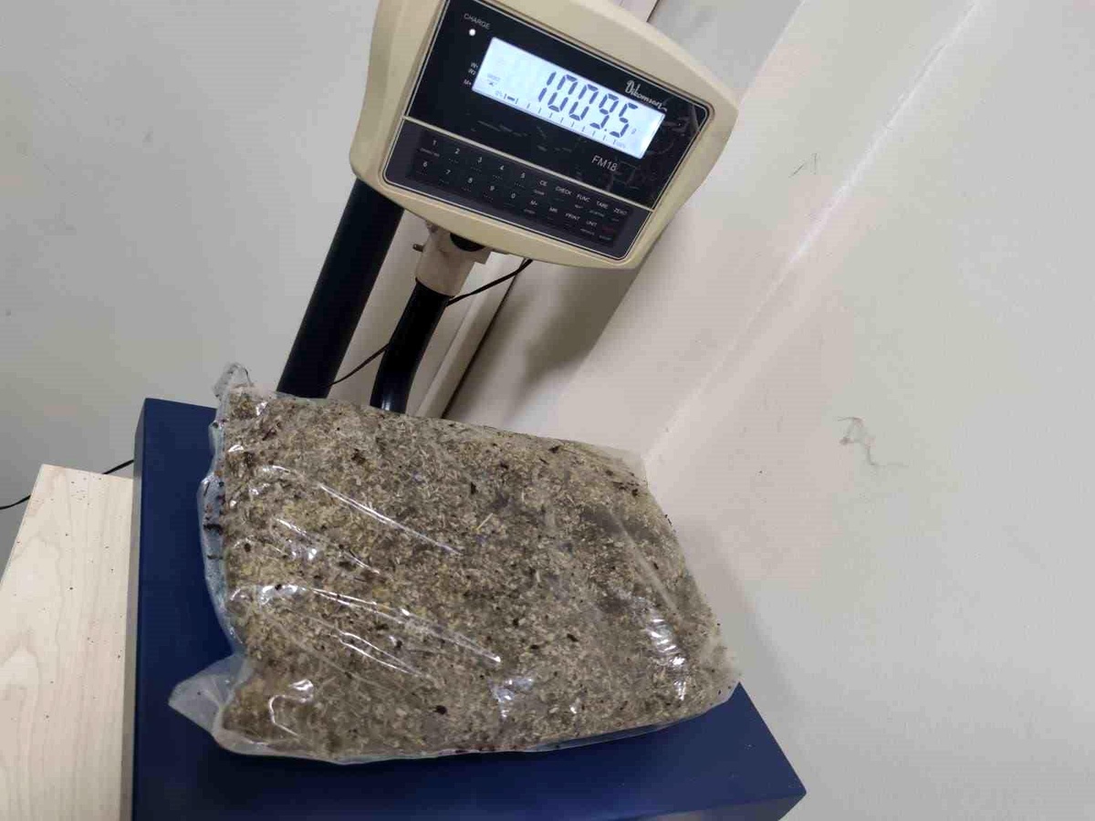 Düzce\'de 1 Kilo Bonzai Ele Geçirildi, 1 Kişi Gözaltına Alındı