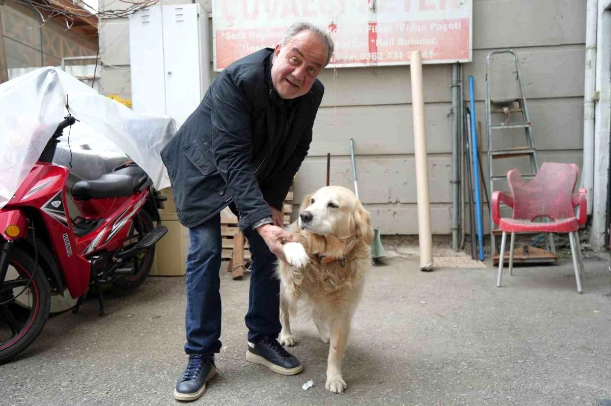 Samsun\'da Doktor, Havlayan Köpek Yüzünden Ayağını Kırdı