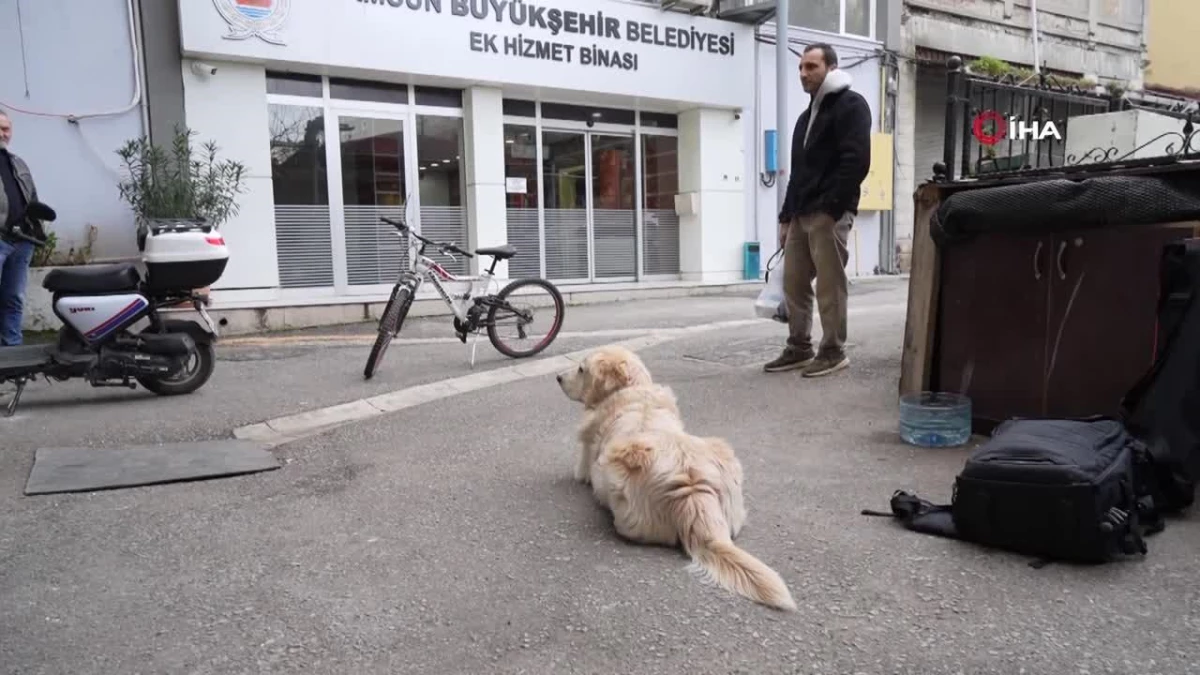 Köpeğin doktora havlaması sahibine 700 bin TL\'ye patladı