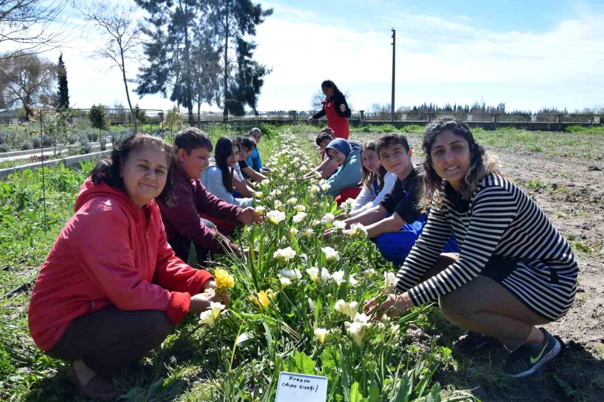 Antalya\'da Mesleki ve Teknik Anadolu Lisesi öğrencileri kesme çiçek yetiştirdi