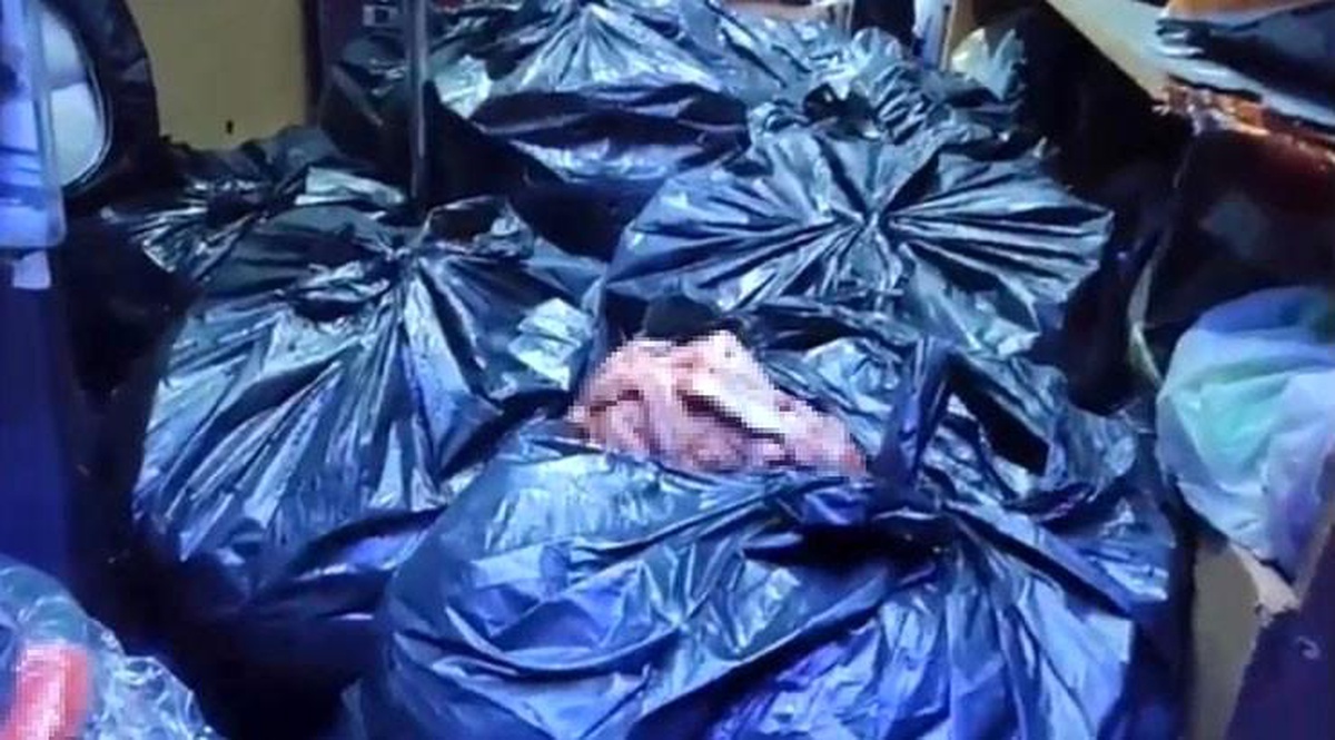 Sakarya\'da 700 Kilogram At ve Eşek Eti Yakalandı, Şüpheliler Serbest Bırakıldı