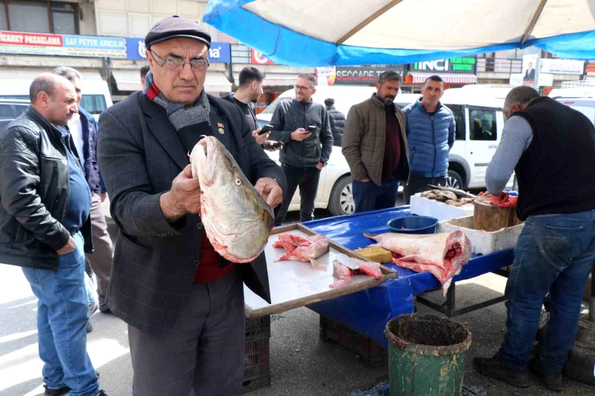 Erzincan\'da yakalanan dev turna balığı tezgahta satışa sunuldu