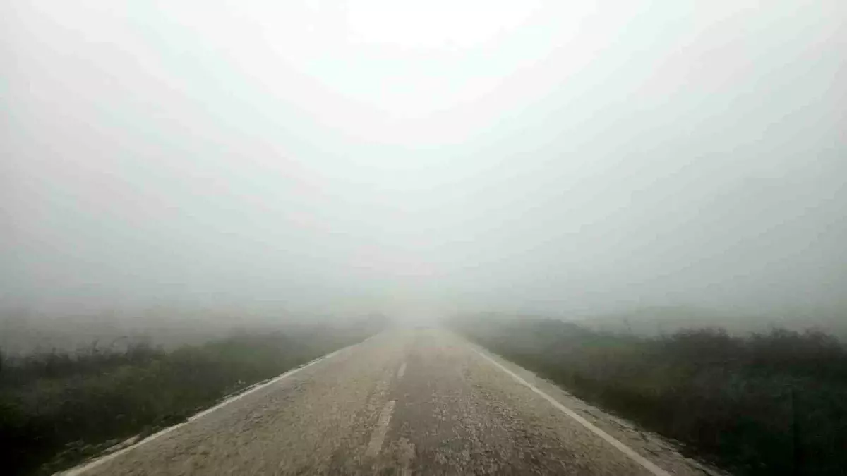 Bandırma\'da Sis Trafiği Olumsuz Etkiledi